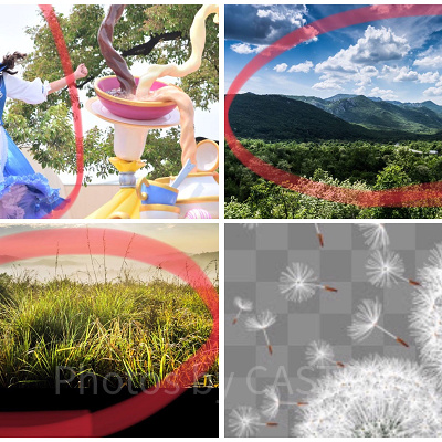 選んだ4枚の素材