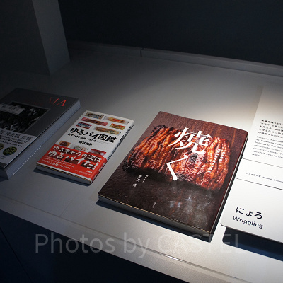 アミメウナギの水槽の横に置かれている書籍