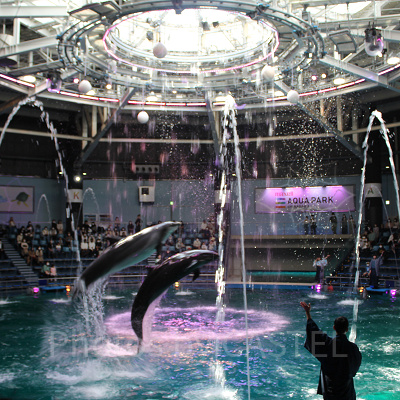 アクアパークではイルカショーも行われます。スケジュールを要チェック！