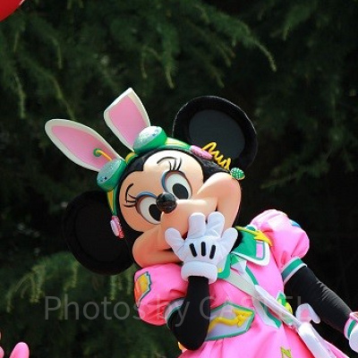 ミニーちゃんのように優しい看護師さんが対応してくれます。