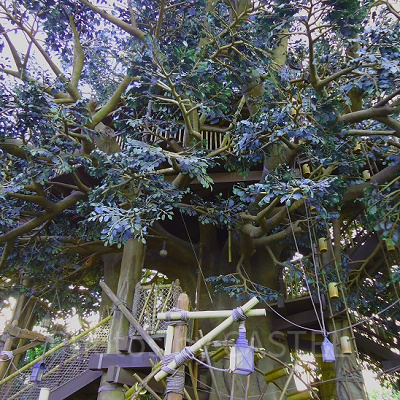 高いところから見るランドが絶景