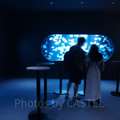 クラゲの水槽の前に置かれたテーブル