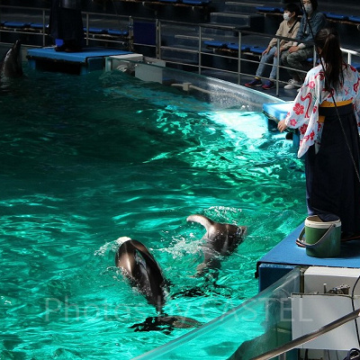 春ならではの演目に合わせて袴姿のトレーナーさん