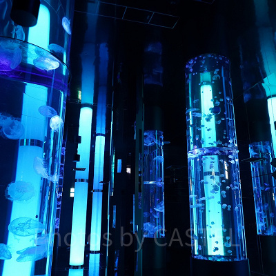 巨大な円柱水槽が立ち並ぶクラゲの世界