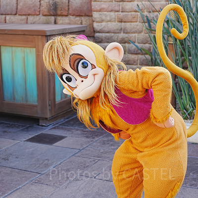 サルのアブー