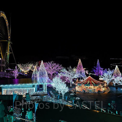 電車でのアクセス方法：小田急線