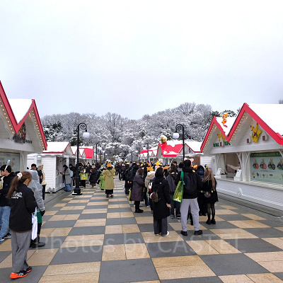 ポケパークカントーへのアクセス