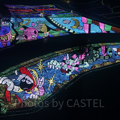 東京ドイツ村へのアクセス