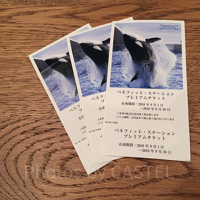 鴨川シーワールドの前売りチケット