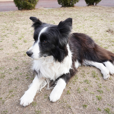 アドベンチャーワールド