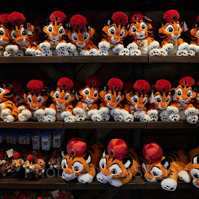 アグラバーマーケットプレイス　チャンドゥ