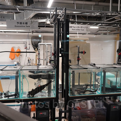 アグア・ラボ エリア