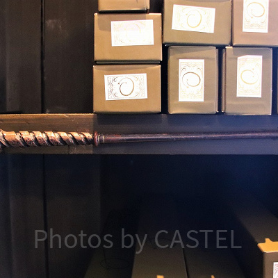 ハンノキ（3/18～4/14）