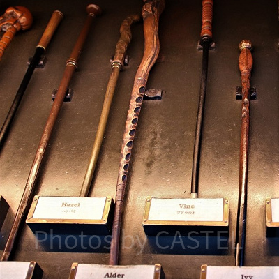 ハンノキ（3/18～4/14）