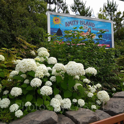 アミティエリア