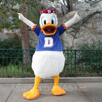 カリフォルニアアナハイムディズニー：米国特有の「サマータイム」に注意！