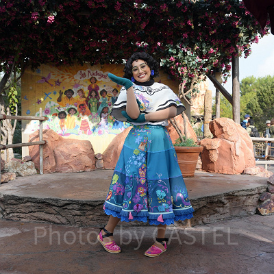 カリフォルニアアナハイムディズニー：営業時間の基本ルール