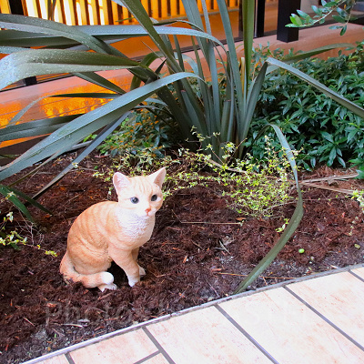 どうぶつビンゴ