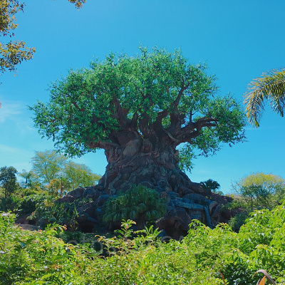 アニマルキングダム