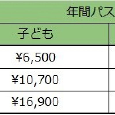 年間パスポート値段表
