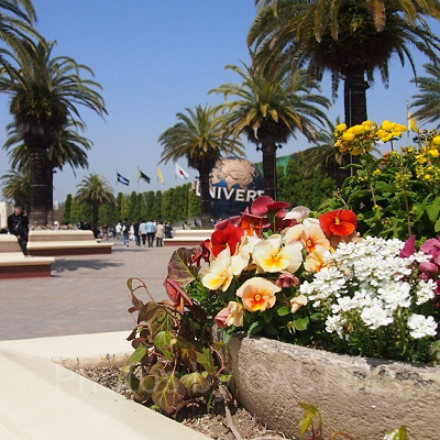 4月の天候とおすすめの服装