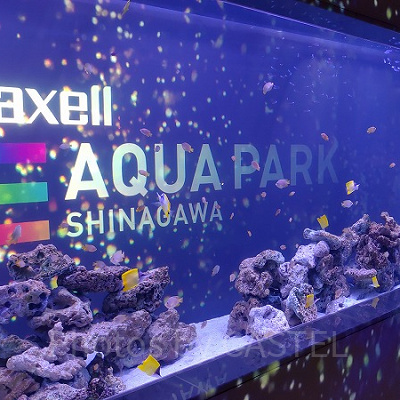 アクアパーク品川