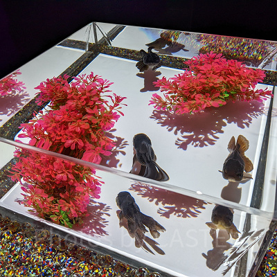 アートアクアリウム銀座　新金魚品評