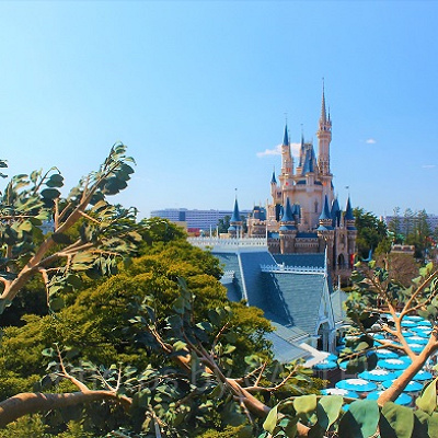 頂上ではこんな素敵な景色も見れる♪