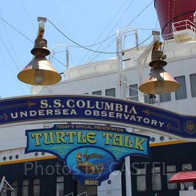 赤ちゃんもクラッシュとの会話が楽しめるかも