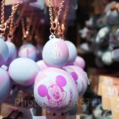 バッグチャーム（ディズニー40周年グッズ）