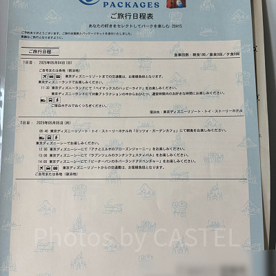 バケパ工程表
