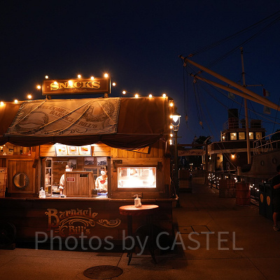 バーナクル・ビルズ