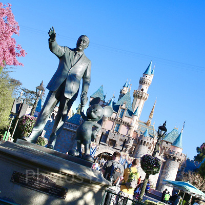 「D23」の基本情報