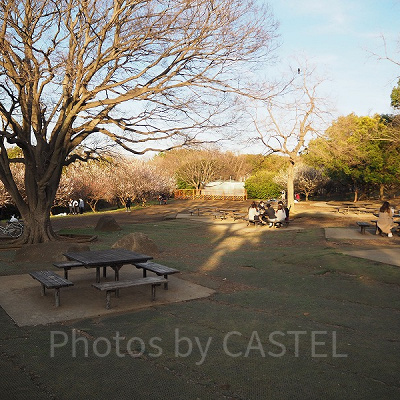 バーベキュー広場