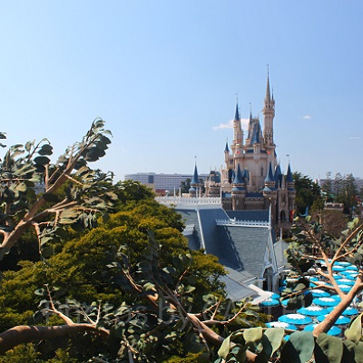 スイスファミリー・ツリーハウスからの美しい眺め