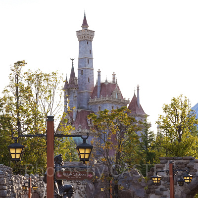 美女と野獣“魔法のものがたり”