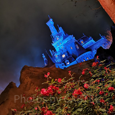 美女と野獣“魔法のものがたり”