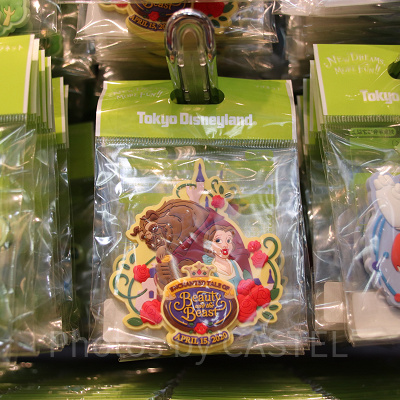 美女と野獣“魔法のものがたり”デコレーションマグネット