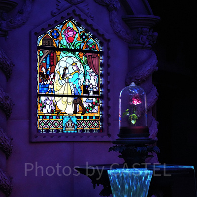 美女と野獣“魔法のものがたり” まとめ