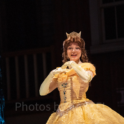 ベル（エレクトリカルパレード）