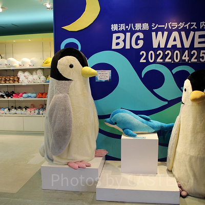 BIG WAVE