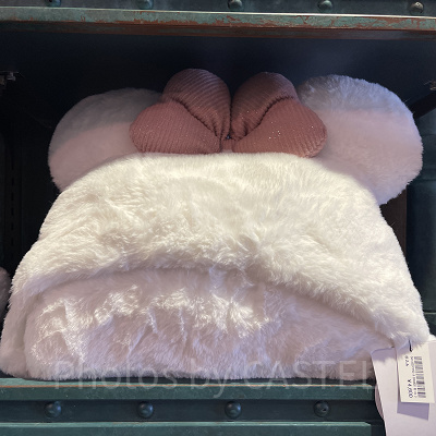 ブランケット（ディズニー40周年グッズ）