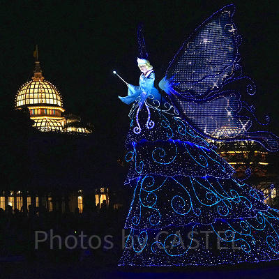 ブルーフェアリー