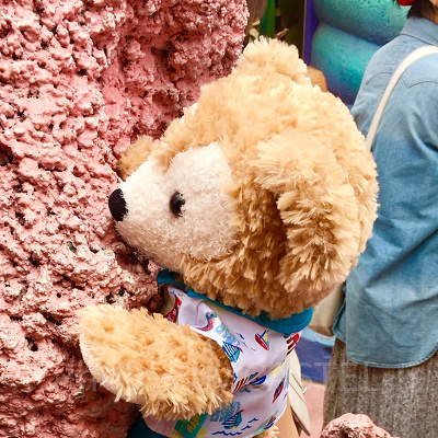 でこぼこしたマーメイドラグーンの岩でボルダリング