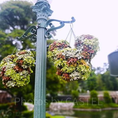 ディズニーランドでカフェ休憩タイム♪