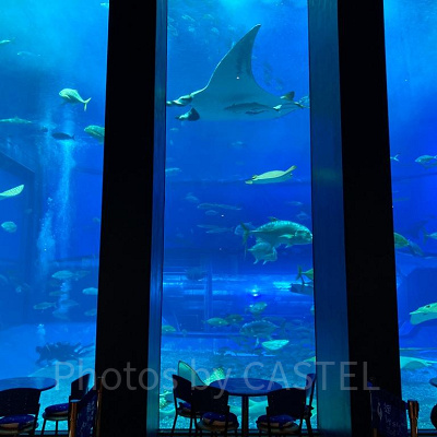 美ら海水族館のカフェ「オーシャンブルー」