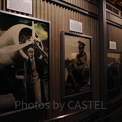 カリフォルニアソアリンのキューライン