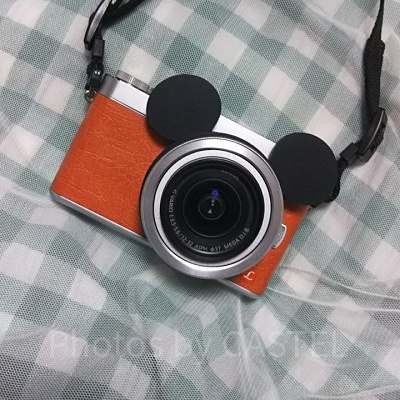 ディズニー向けカメラグッズ＆アクセサリー