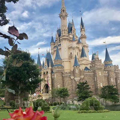 ディズニーランドも貸し切れる？