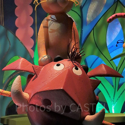 ライオンキングのアニマル・キングダムできる？